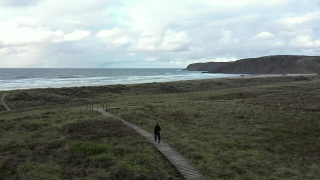 Back view of man walking alone on path and dunes leading to deserted beach. Aerial