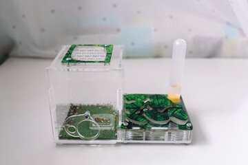 Fototapeta premium Acrylic ant farm, formicarium with Reaper ants decorated arena and test tube for drinking ants stands on the table at home. Green color pet house