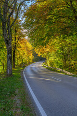 Landstraße durch eine Herbstwald, Bayern, Deutschland