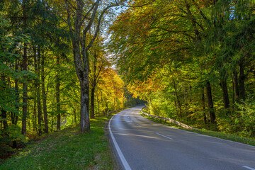 Landstraße durch eine Herbstwald, Bayern, Deutschland
