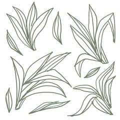 seamless nature pattern style collections 
