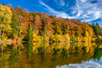 Herbststimmung am Haarsee, Bayern, Deutschland