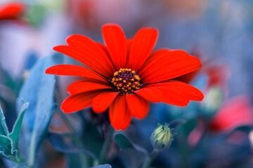 Spring blossom background. Beautiful nature scene with blooming tree and sun flare. Sunny day. Spring flowers. Abstract blurred background. Springtime