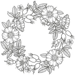 Wreath of Black and white dog-rose flowers, branches and leaves. Vector isolated on white background. Coloring, elements for packaging design of cosmetics, medicine, tea, invitetion and cards