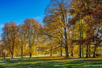 Fototapeta premium Schacky Park in Dießen am Ammersee, Bayern, Deutschland