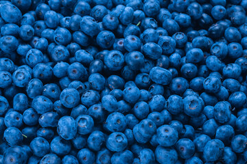Fresh blueberry background.
