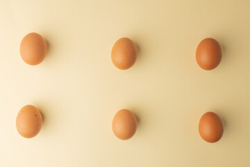 brown chicken eggs on color background