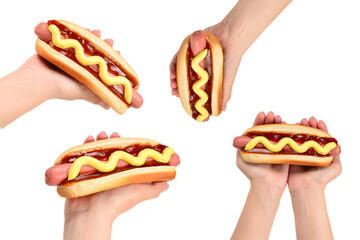 Hot dog in woman hand isolated on white background. Copy space.