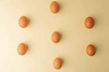 brown chicken eggs on color background