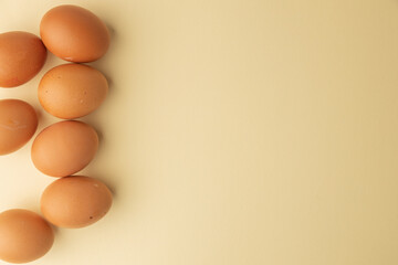 brown chicken eggs on color background