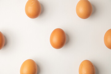 brown chicken eggs on color background