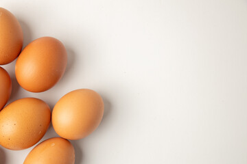 brown chicken eggs on color background