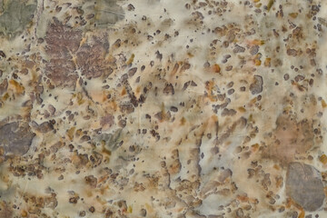 Fragment of hand-dyed fabric using eco-print technique