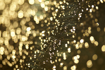 golden blur background, holiday texture