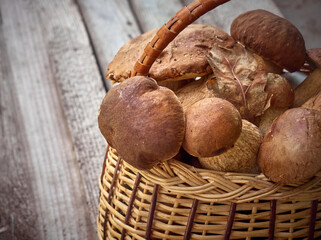 Fresh mushrooms in the basket.