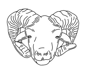 Vector hand drawn minimalistic illustration of ram. Creative artwork. Template for card, poster, banner, print for t-shirt, pin, badge, patch.