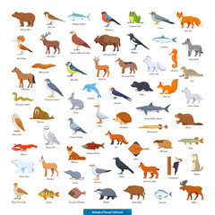 Animals of Europe Collection
