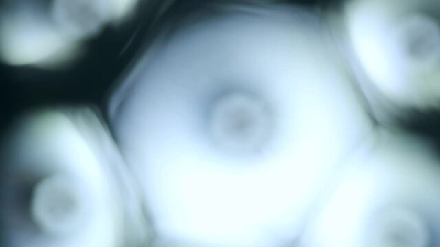 diode light in focus