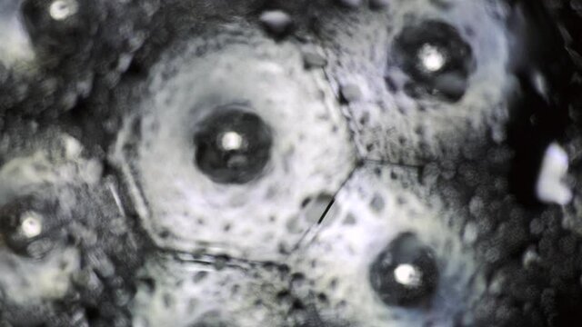 focus on water drops