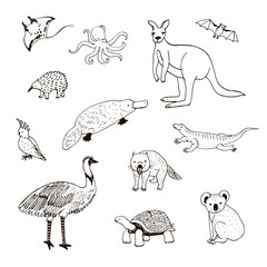 Australian animals hand drawn vector illustrations set