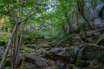 Footpath between rocks at the foot of a steep wall in the forest.