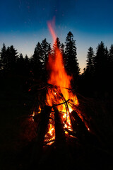 Fire at night in the woods