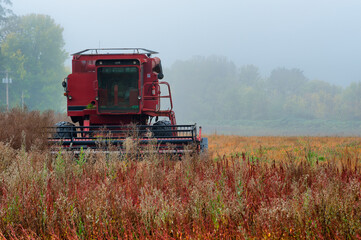 Obraz premium Agricultural Combine sits idle in a field