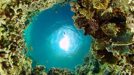 Colourful tropical coral reef. Scene reef. Marine life sea world. Philippines.