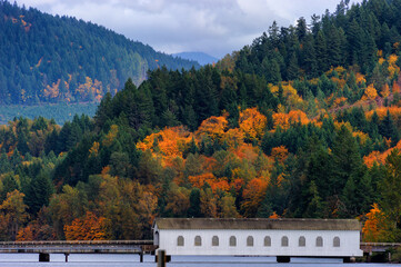 Autumn colors in the Cascade Mountain Range in Oregon