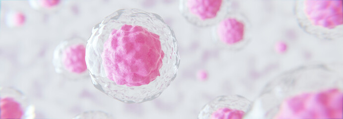 Stammzellen  mit Kern und Hülle unter dem Mikroskop - Thema Genetik oder Reproduktion