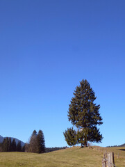 Obraz premium Schleierfälle Scheibum hiking in wintertime, Bavaria, Germany