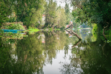 reserva ecológica de los canales de Xochimilco en México
