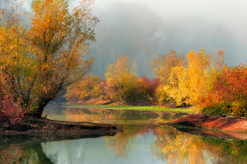 Autumn Colors and fog enhance the forest and pond