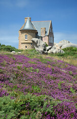 Fototapeta na wymiar Cote de Granit Rose, Bretagne