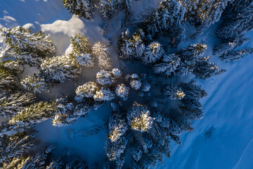 Passo coe Inverno trentino folgaria alpe cimbra con neve
 - obrazy, fototapety, plakaty