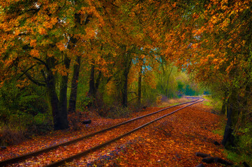 Autumn Colors along a railroad track