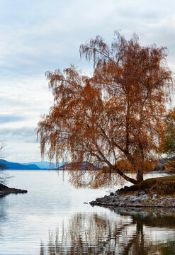 Autumn Along the Shores of Klamath Lake