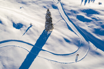 Passo coe Inverno trentino folgaria alpe cimbra pista da fondo - obrazy, fototapety, plakaty