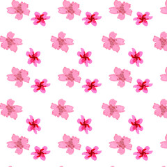 Obraz premium red flowers pattern watercolor work