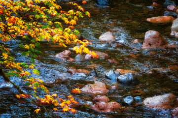 Autumn Colors on McKenzie Pass-Santiam Pass Scenic Byway