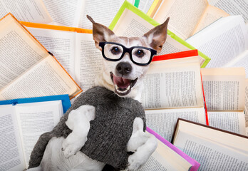hond leesboeken