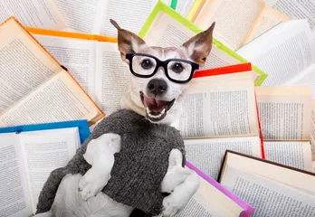 Fotobehang Grappige hond hond leesboeken