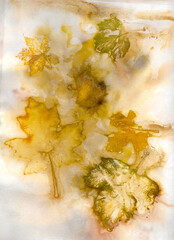 "Fallen Maple" - Eco Print from Nature - Natural Colors from Plants, Leaves and Flowers. This is an original image created by pressing & steaming plant materials onto specific papers & substrates.