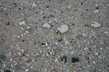 Sand on the Beach