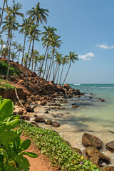 Ocean tropical beach with palms, Mirissa, Sri Lanka