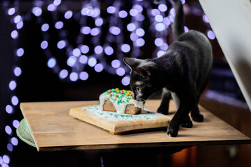 gato come postre