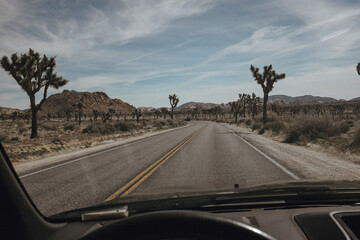 Joshua Tree roads
