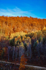 Fototapeta premium beautiful autumn landscapes in the Romanian mountains
