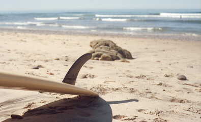 Surfboard at the Beach
