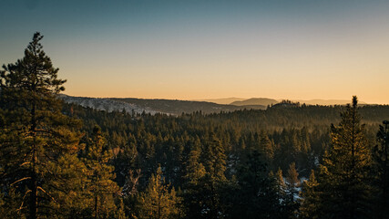 Sunset over snowy forrest 